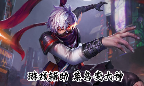 游戏辅助-带妹上分，菜鸟秒变大神！